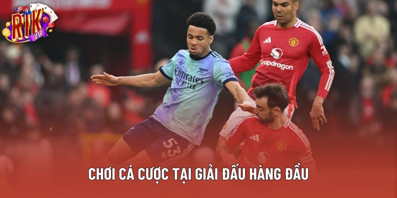 Chơi cá cược tại giải đấu hàng đầu Chơi cá cược tại giải đấu hàng đầu