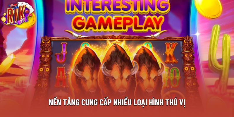 Nền tảng cung cấp nhiều loại hình thú vị Nền tảng cung cấp nhiều loại hình thú vị
